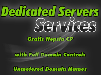 Top dedicated server provider